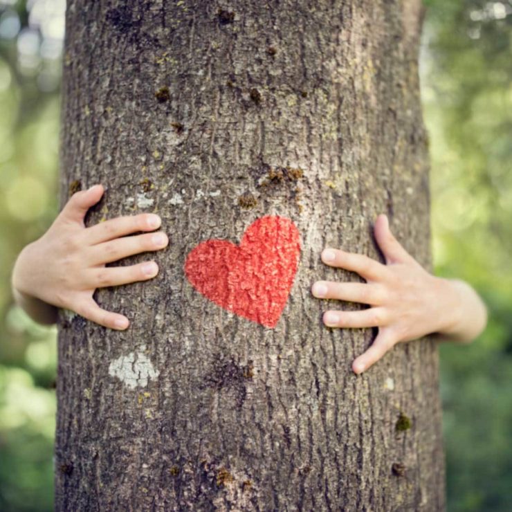 Person Hugging A Tree And Having Gratitude For Nature