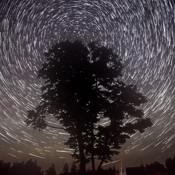 Star Tree Photo By  Jessie  Hodge Via  Flickr