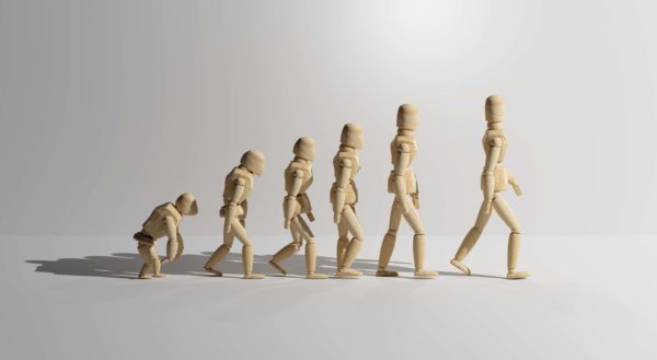 Stick Figure Human Evolution Web