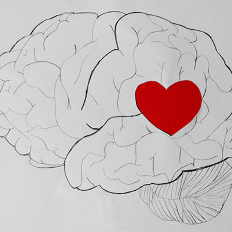 Brain Heart Illustration by Yasmeen via Flickr Cc