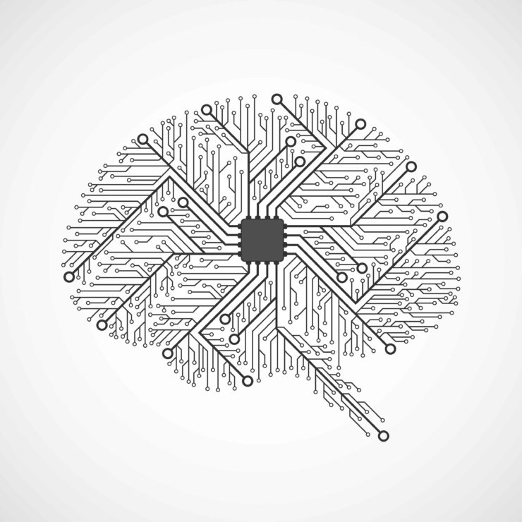 Brain Circuits Illustration Samarets1984 I Stock