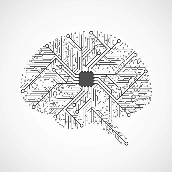 Brain Circuits Illustration Samarets1984 I Stock